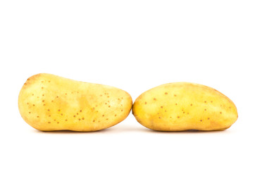 Potato