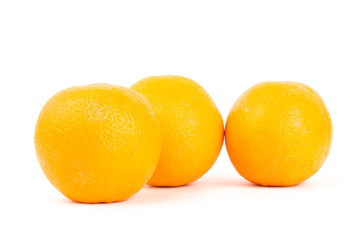 Navel orange fruit