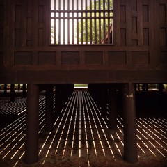 the light coming through