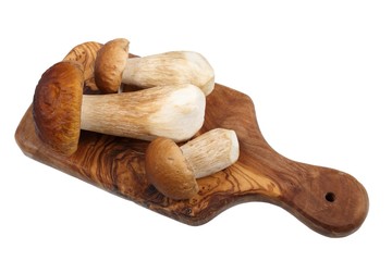 Porcini mushrooms