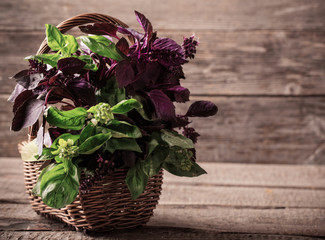 purple and green basil on a wooden background
