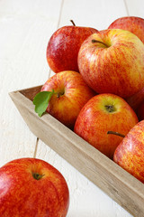 Red autumn apples on gray tray