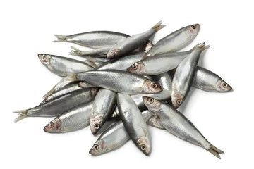 Poster Fresh raw European sprats © Picture Partners