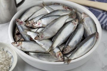 Dish with raw European sprat