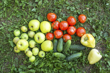 Tomatoes, peppers, cucumbers and apples scattered on the grass.