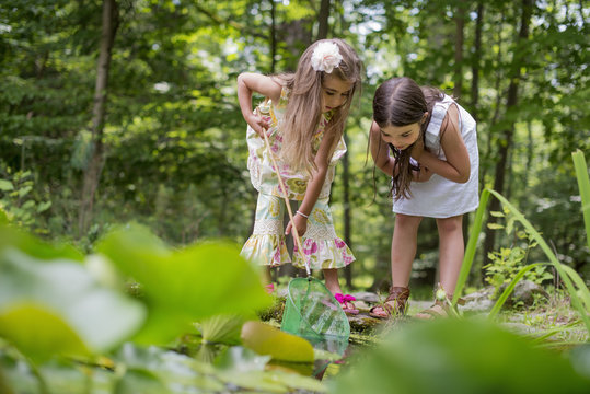 Two girls playing at a pond in a forest.