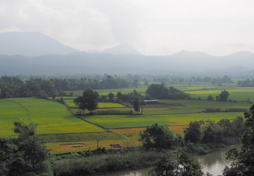 Rice field view from the top of the mountain. Laos