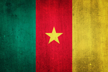 National flag of Cameroon. Grungy effect.