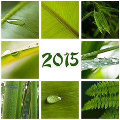 collage nature zen 2015