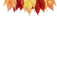 Fototapeta premium Autumn background - Frame on white