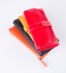 wallet. woman wallet on a background