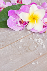 Spa and wellness setting