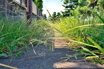 側溝