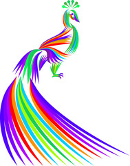 Colorful peacock - obrazy, fototapety, plakaty