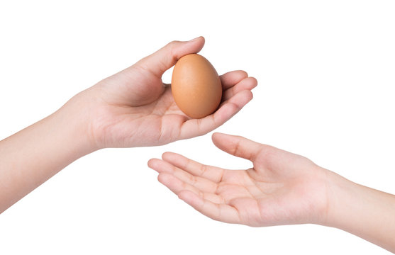 hand holding eggs over white background