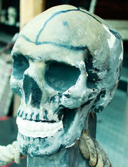 Totenkopf Nachbildung Detail