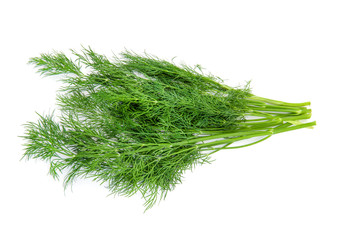 dill isolated on white