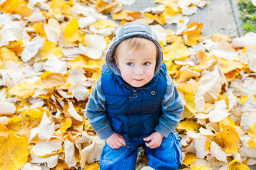 Autumn portrait of a cute toddler boy