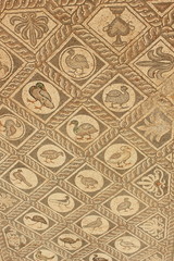 Bird Mosaic Floor from Ancient Delphi