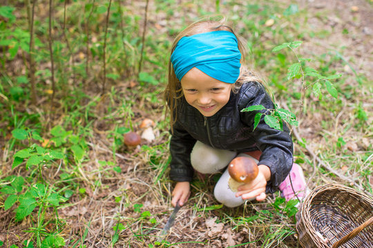 Little cute girl pick up mushrooms in the forest