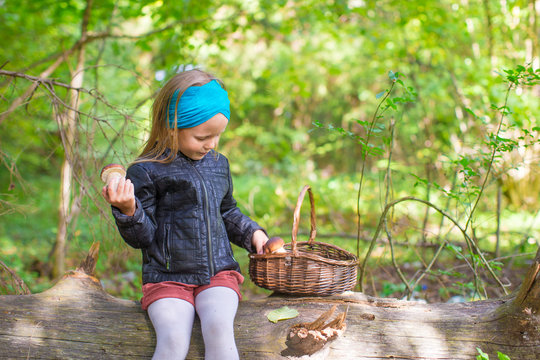 Little girl gathering mushrooms in an autumn forest