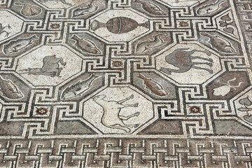 Mosaic Floor from Ancient delphi