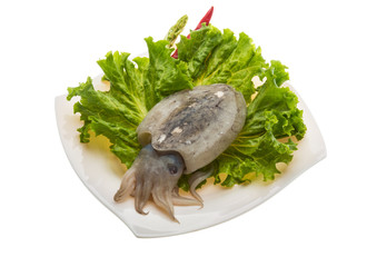 Raw cuttlefish