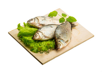 Crucian fish