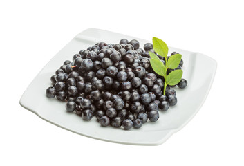 Blueberry
