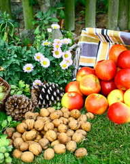 récolte de noix et pommes rouges au jardin en automne