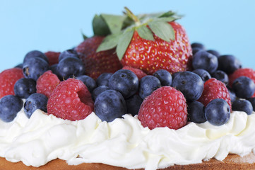 Fresh whipped cream and berries sponge layer cake.