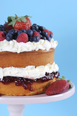 Fresh whipped cream and berries sponge layer cake.
