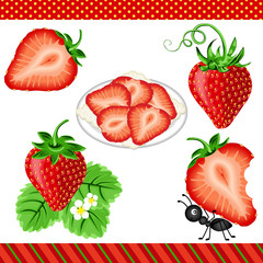 Strawberry Digital Clipart