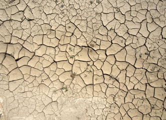 Cracked soil ground