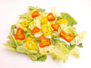 frischer Salat
