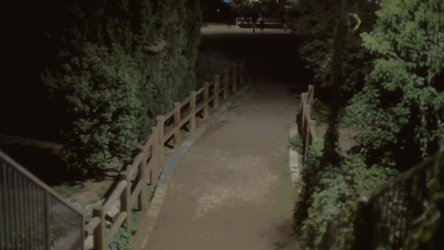 Background establishing shot park night 05