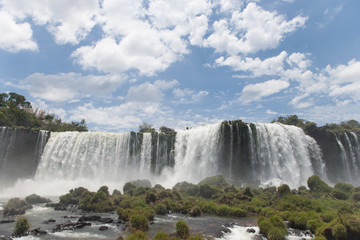 Fototapeta premium Iguazu Wasserfälle - Brasilien