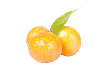 three tangerines with leaves isolated on white background.