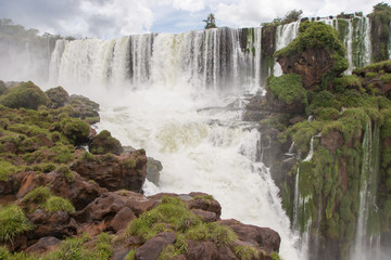 Fototapeta premium Iguazu Wasserfälle - Argentinien