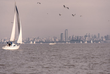 Fototapeta premium Sailing at Rio de la Plata River, Buenos Aires City. Argentina.