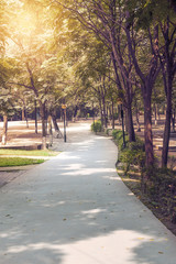road in forest