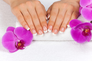 Beautiful woman's hands with perfect french manicure 