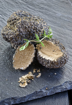 rare and expensive black truffle