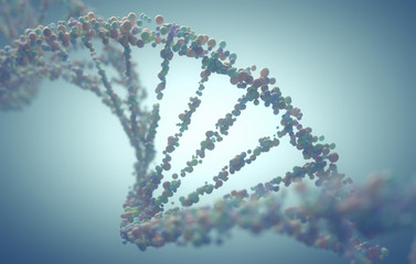 DNA Structure