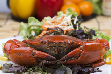 Fresh Steam red crab