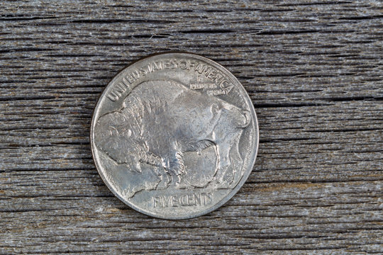 American Buffalo Nickel On Rustic Wood