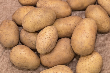 Fototapeta na wymiar Young potatoes