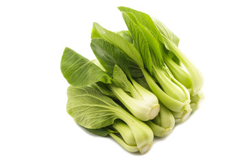 Chinese cabbage