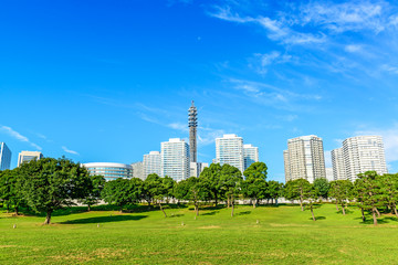 Obraz premium Landscape grass prospects the condominiums of landmark