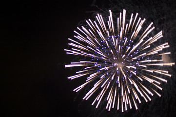 Fireworks of large flower rising out in the night sky